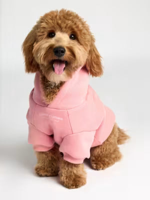 You Matter Paw Hoodie