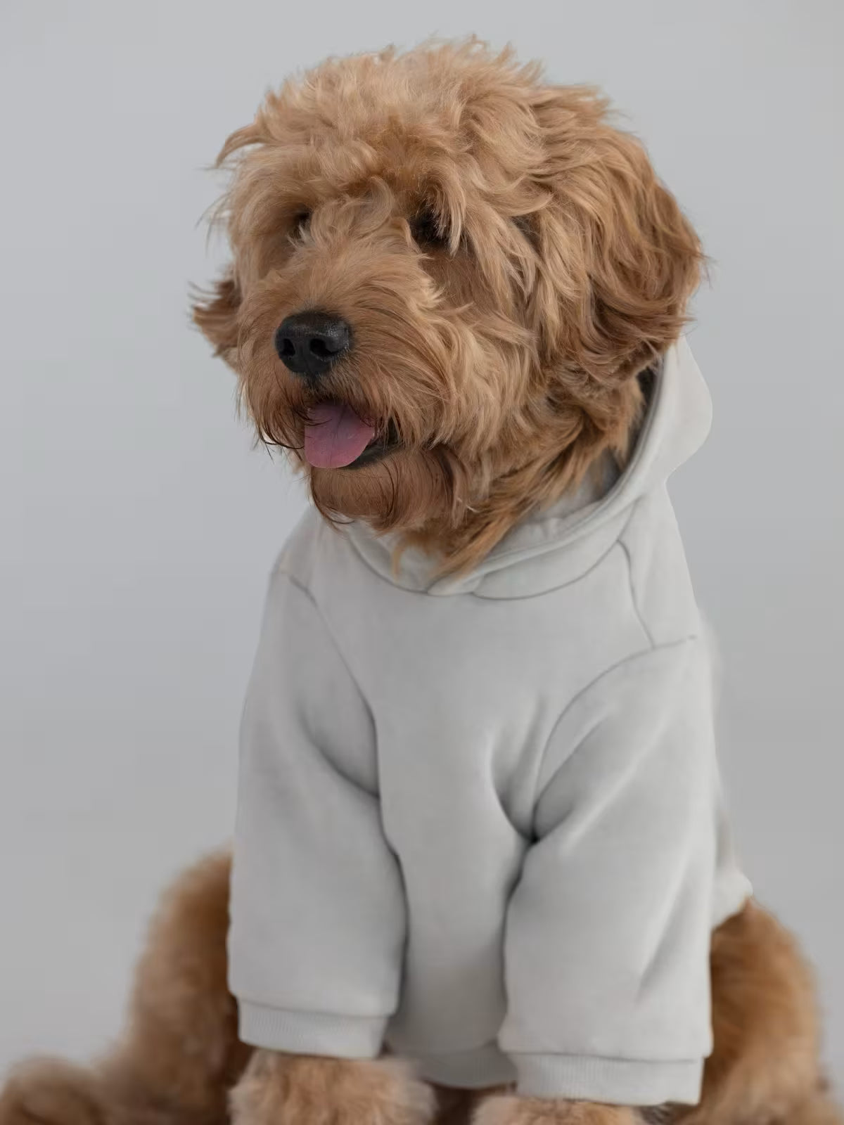Paws Best-Sellers Bundle